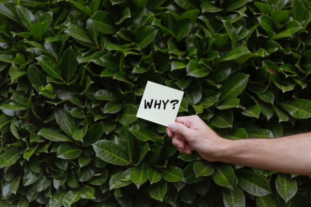 Why Would You Need Deel competitors?